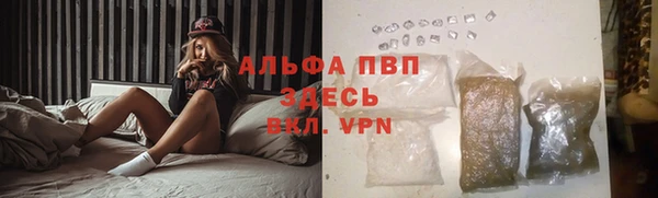 кокс Белокуриха