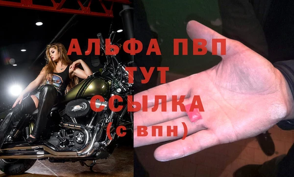 твердый Беломорск