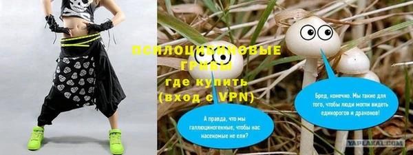кокс Белокуриха