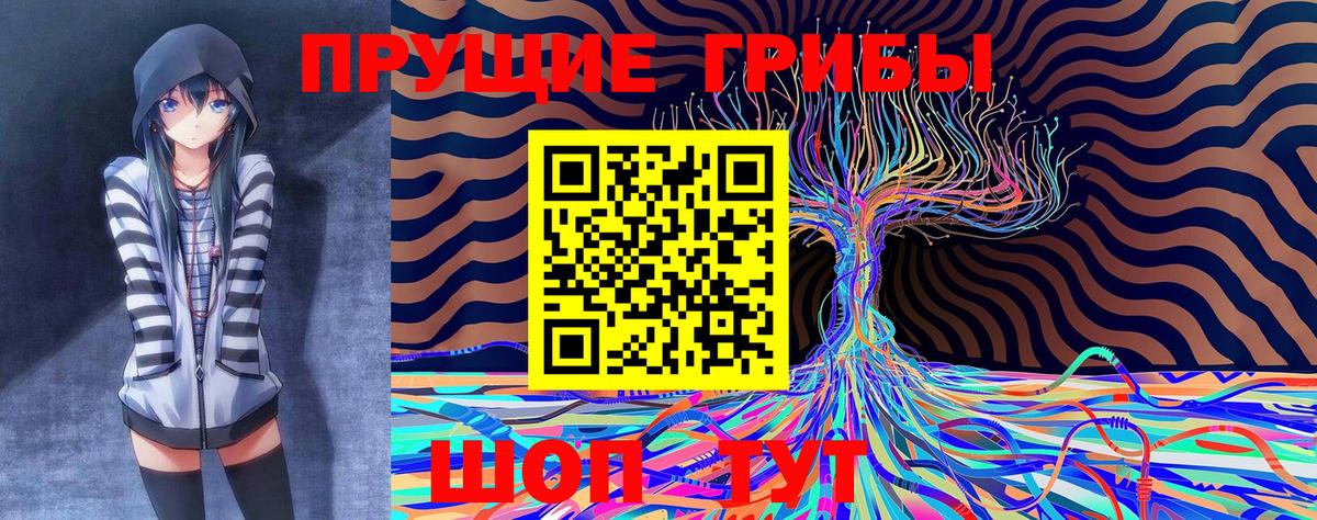 Псилоцибиновые грибы прущие грибы Славгород
