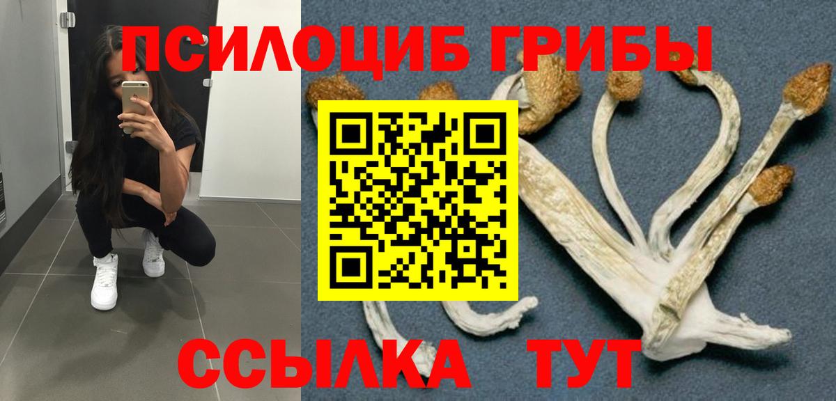 Галлюциногенные грибы мухоморы  Псилоцибиновые грибы прущие грибы  Вход с VPN  Славгород 